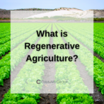 regenerative agriculture graphic